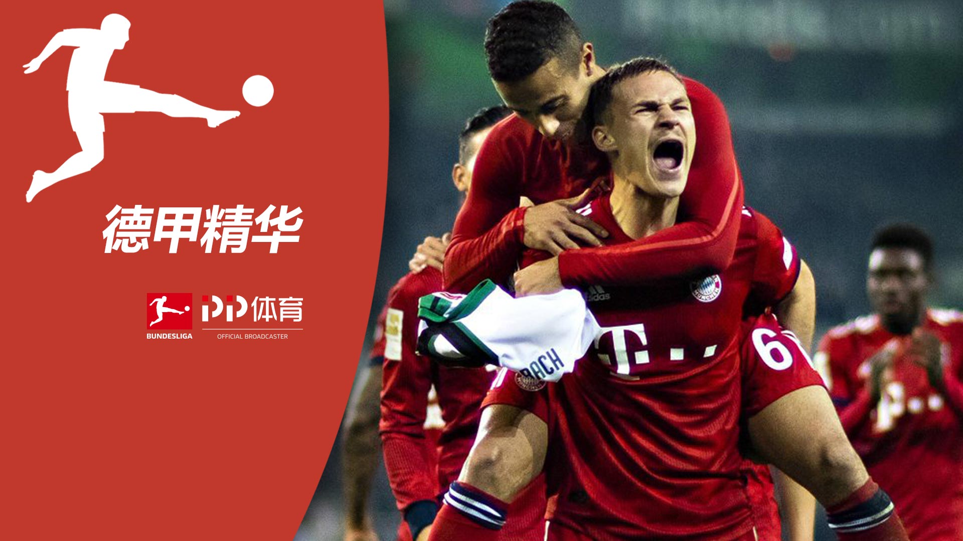 脉冲布袋除尘器工业除尘设备锅炉水泥仓顶木工车间破碎布袋除尘器